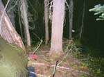 Roll4_3145-03