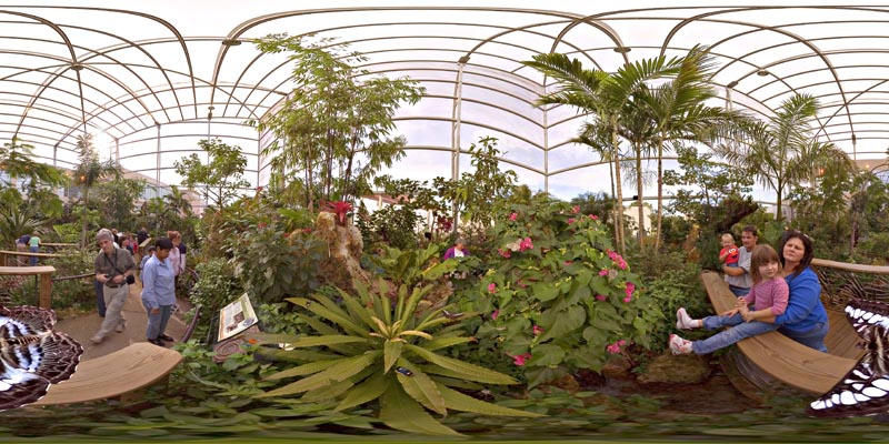 Florida Museum Of Natural History Butterflies Spherical Panorama